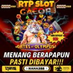 Rahasia Main Judi Online, Depo 10k Menang Terus!